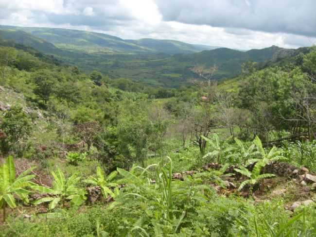 VALE DO PIANCOZINHO AQUI NESSE LOCAL  A NASENTE DO RIACHO PIANCOZINHO, POR DAMIO FERREIRA - SO JOS DE PRINCESA - PB