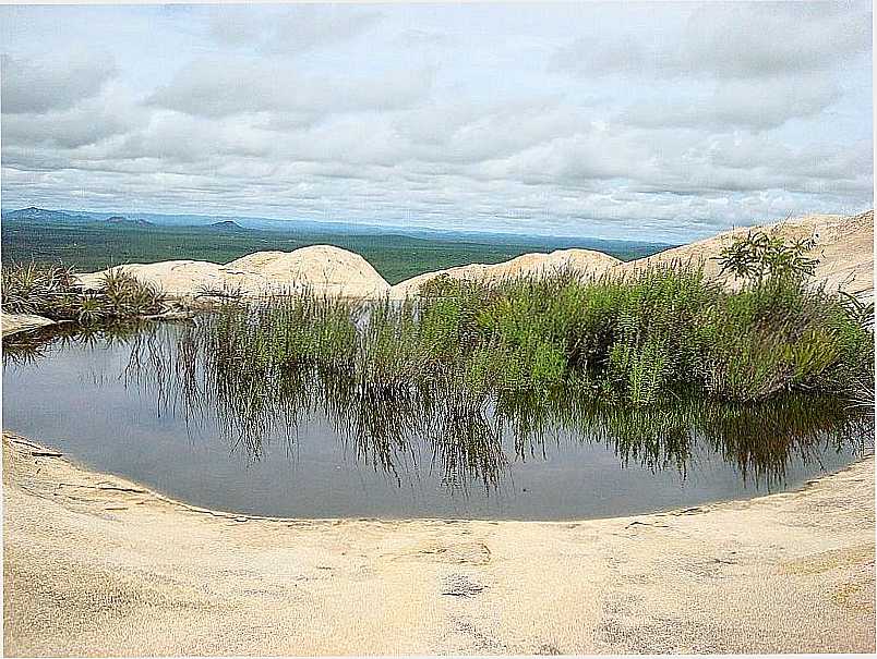 SERRA BRANCA-PB-LAGOA NA SERRA DO JATOB-FOTO:ANDR MOTA - SERRA BRANCA - PB