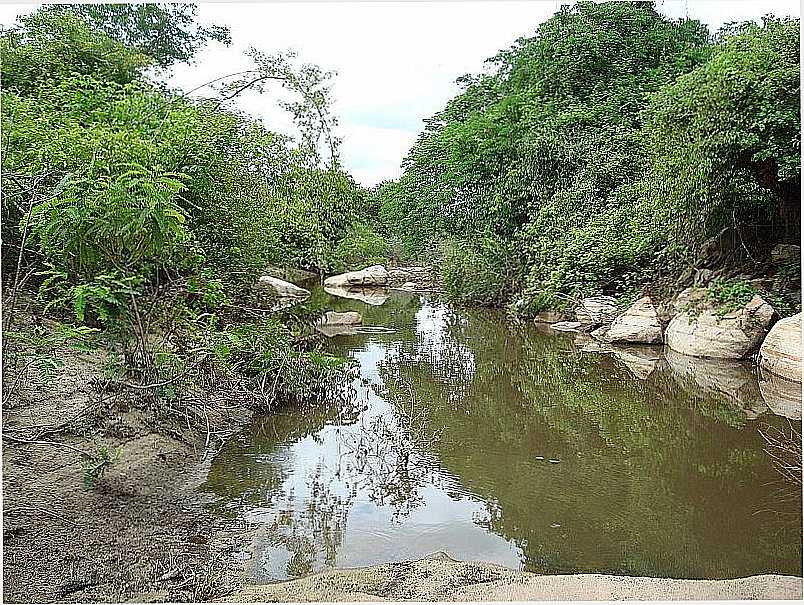 SERRA BRANCA-PB-RIACHO DA SERRA-FOTO:ANDR MOTA - SERRA BRANCA - PB