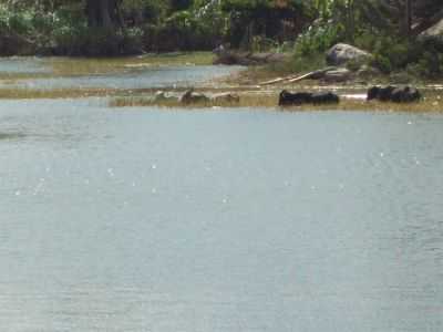  POR ZAMBA - SERRA DA RAIZ - PB