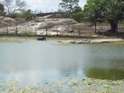  POR ZAMBA - SERRA DA RAIZ - PB