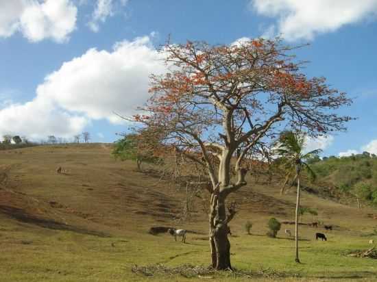  POR VALRIA ALVES - SERRA REDONDA - PB