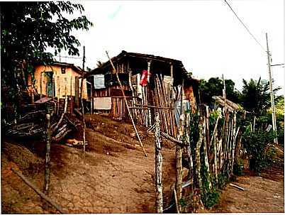 UMA RUA EM SERRARIA, POR JOS LIMA - SERRARIA - PB