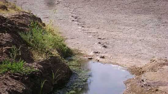 MARCAS NO VALE DOS DINOSSAUROS EM SOUZA-PB-FOTO:MARCOS-DF - SOUSA - PB