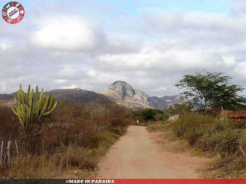 PICO TAPERO -  TAPERO - PB - TAPERO - PB