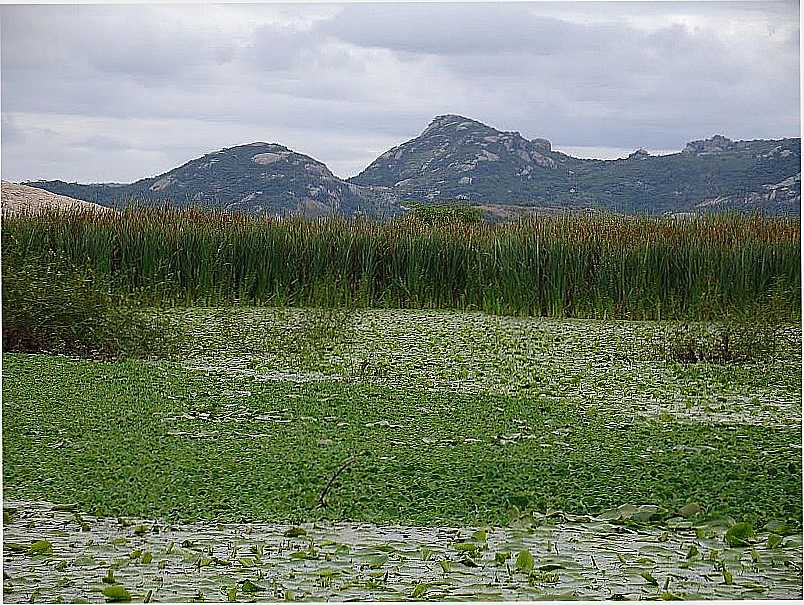 ALAGOINHA-PE-PAISAGEM DA REGIO-FOTO:ROBERTO INOJOSA - ALAGOINHA - PE