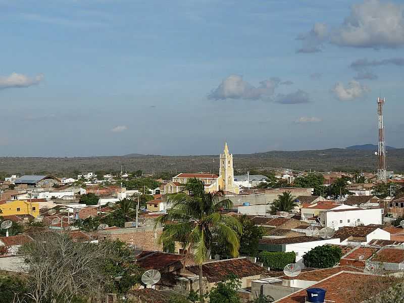 ALAGOINHA-PE-VISTA PARCIAL DA CIDADE-FOTO:ROBERTO INOJOSA  - ALAGOINHA - PE