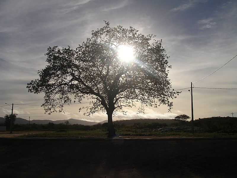 ALBUQUERQUE N-PE-AMANHECENDO NO DISTRITO-FOTO:REFLEXOESDIARIAS-LUCINALVA.BLOGSPOT.COM  - ALBUQUERQUE N - PE