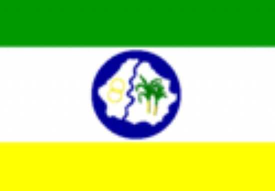 BANDEIRA DA CIDADE - ALIANA - PE