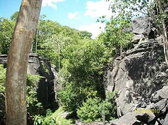 TRILHA PARA A GRUTA DO CATO-FOTO:JOSENEISMACEDO - CATOLNDIA - BA