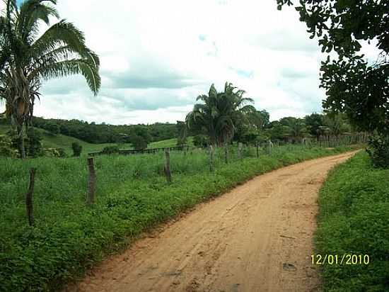 VISTA DE PONTA DGUA-CATOLNDIA-FOTO:JOSENEISMACEDO - CATOLNDIA - BA