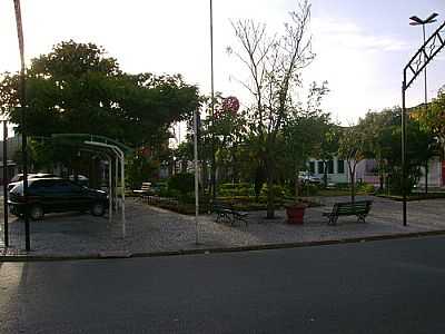 ARBORIZAO DA PRAA DA MATRIZ - BELO JARDIM - PE