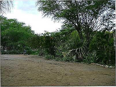 PARQUE DO BAMBU - BELO JARDIM - PE