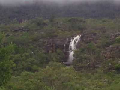 CACHO. DO GUARDA M- CATOLS BAHIA, POR FELIPE ADRIANO - CATOLS - BA