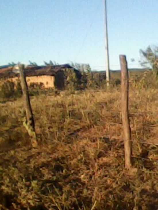 SEMI-RIDO NORDESTINO, POR ANTONIO CCERO DA SILVA(GUIA) - BOM NOME - PE