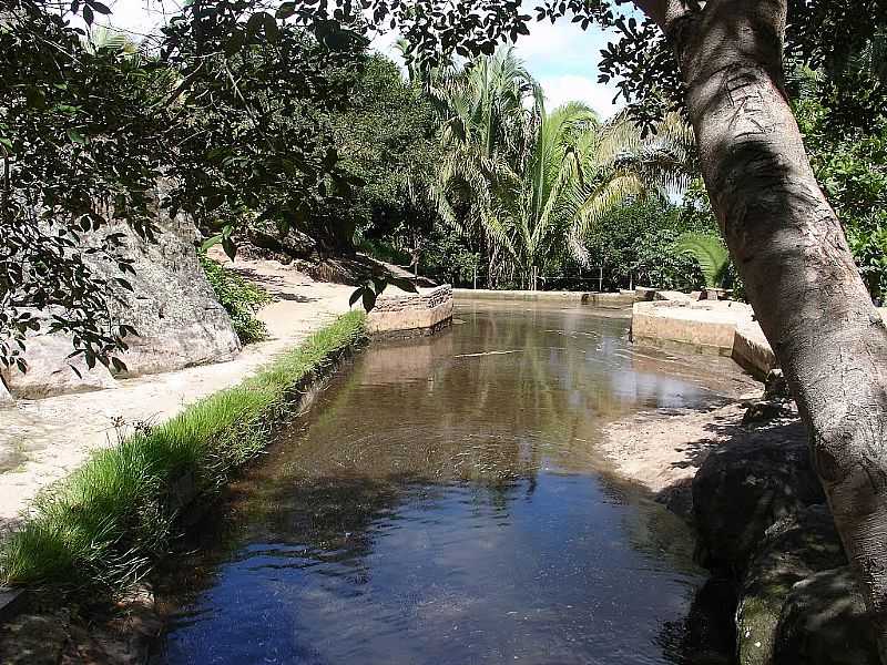 BUQUE-PE-VALE DO CATIMBA-FOTO:ROBERTO INOJOSA  - BUQUE - PE