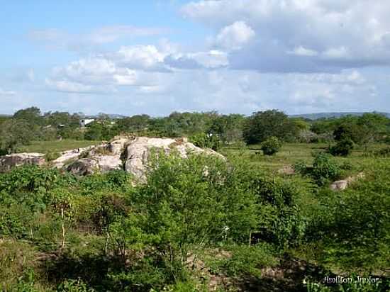 ZONA RURAL DE CACHOEIRINHA-FOTO:AMILTON JNIOR - CACHOEIRINHA - PE