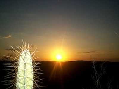 CACTOS-FOTO:ELIO ROCHA - CAIARINHA DA PENHA - PE