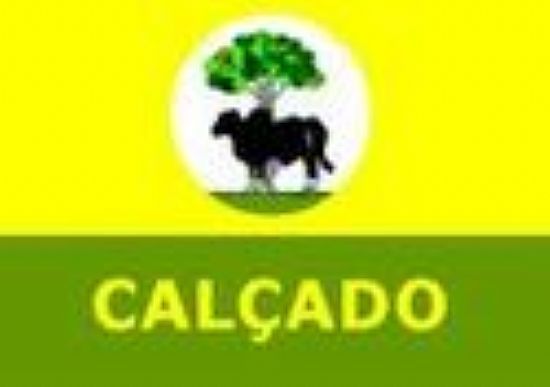 BANDEIRA DA CIDADE  - CALADO - PE