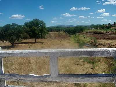 PONTE SOBRE O RIACHO DO BREJO-FOTO:FRANKALSABER  - CALUMBI - PE