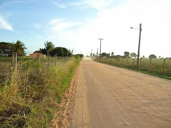 ESTRADA EM REA RURAL-FOTO:RUI-CARDOZO - CAJARANA - AL