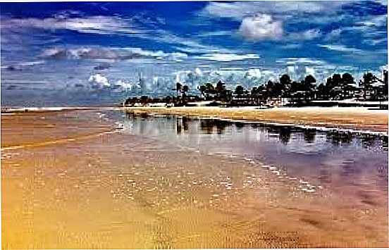 PRAIA DE CATU DE ABRANTES-FOTO:FLICKRIVER. - CATU DE ABRANTES - BA