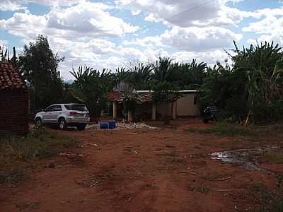 FAZENDA CANA-FOTO:LUIS BRUNO GALVAO GU - CANA - PE