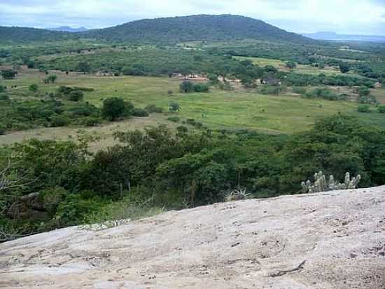 STIO BOQUEIRO-FOTO:LUIZINHO1965 - CARNABA - PE