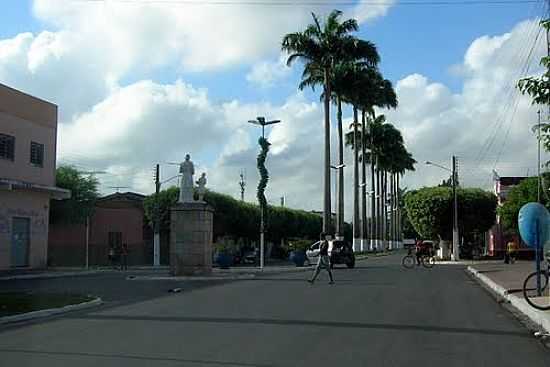 AVENIDA NA ENTRADA DE CARPINA-PE-FOTO:CONSTANTINO LAGOA - CARPINA - PE