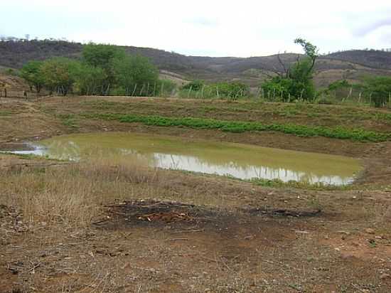 BARRAGEM DE PEDRO RIBEIRO-FOTO:CICERO-PADIM - CEDRO - PE