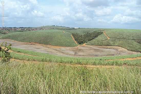 CH DE ALEGRIA-PE-VISTA DA REGIO E AO FUNDO A CIDADE-FOTO:SERGIO FALCETTI - CH DE ALEGRIA - PE