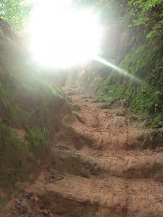 PAISAGEM DE CLARAN, POR BRUNA RODRIGUES - CLARANA - PE