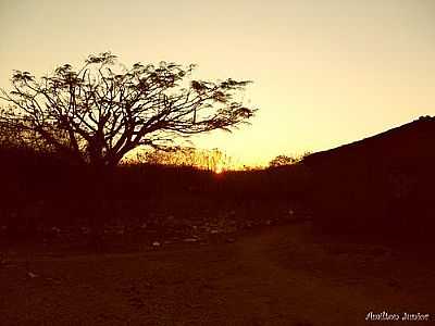 PR DO SOL EM CONCEIO DAS CRIOULAS-FOTO:AMILTON JNIOR  - CONCEIO DAS CRIOULAS - PE