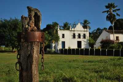 O TRONCO, POR JUNIOR BARBOSA - CONDADO - PE