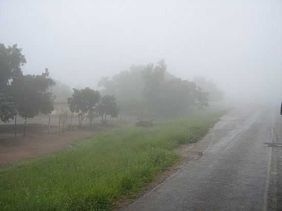 NEBLINA NA SERRA-FOTO:MAGNO LIMA - EXU - PE