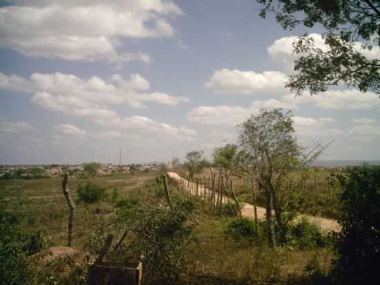 CAMINHO DO CACIMBO, POR BERENICE - EXU - PE