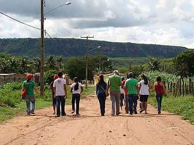 ESTRADA-FOTO:ELIO ROCHA  - FEITORIA - PE