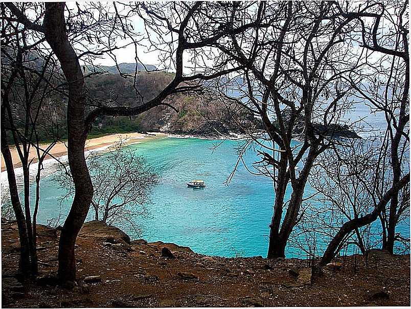 ILHA DE FERNANDO DE NORONHA - PE - FERNANDO DE NORONHA - PE