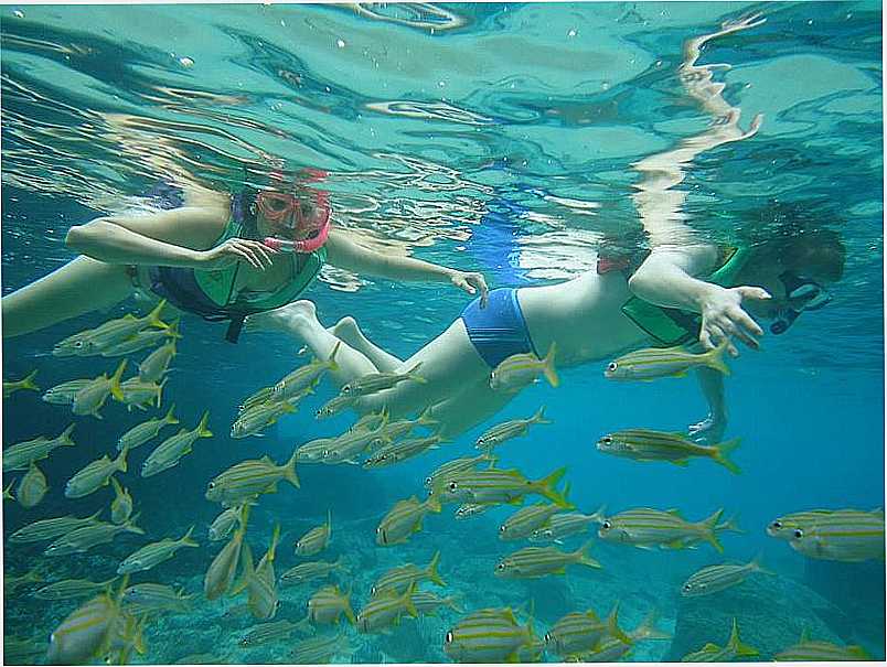 ILHA DE FERNANDO DE NORONHA - PE - FERNANDO DE NORONHA - PE