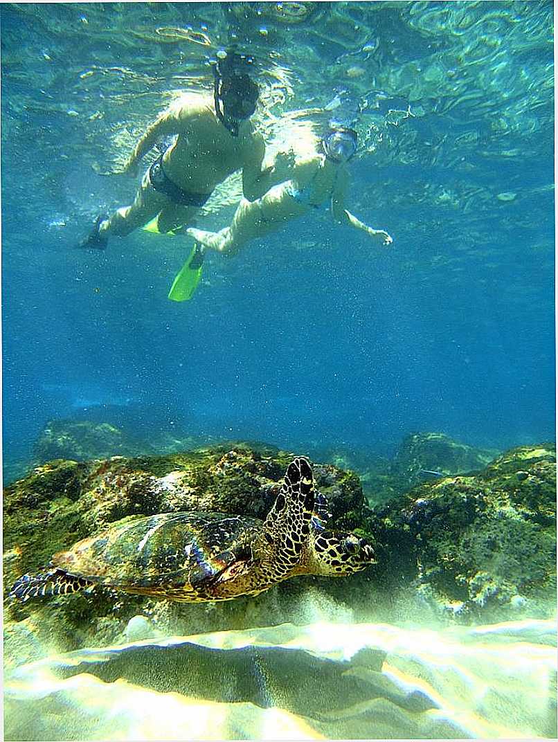 ILHA DE FERNANDO DE NORONHA - PE - FERNANDO DE NORONHA - PE