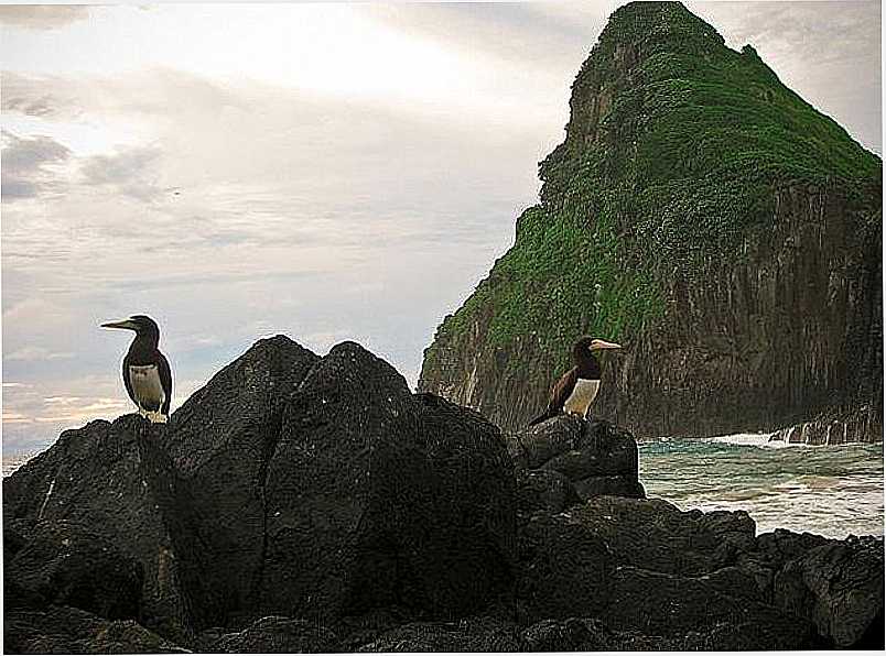 FERNANDO DE NORONHA - PE - FERNANDO DE NORONHA - PE