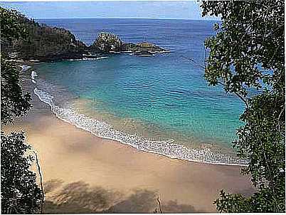 PRAIA DO SANCHO, POR CARLOSJR_DARCIE - FERNANDO DE NORONHA - PE