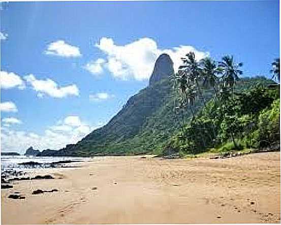 FERNANDO DE NORONHA-FOTO:PCSAUDAVEL - FERNANDO DE NORONHA - PE