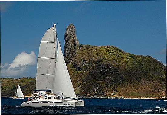 VELEJANDO EM FERNANDO DE NORONHA-FOTO:AFROEHLICH - FERNANDO DE NORONHA - PE