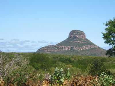  POR EDMILSON FONTES - FLORESTA - PE