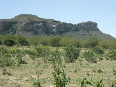 SERRA DOS MORCEGOS, POR EDMILSON FONTES - FLORESTA - PE