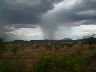 FLORESTA - , POR NIO QUIRINO - FLORESTA - PE