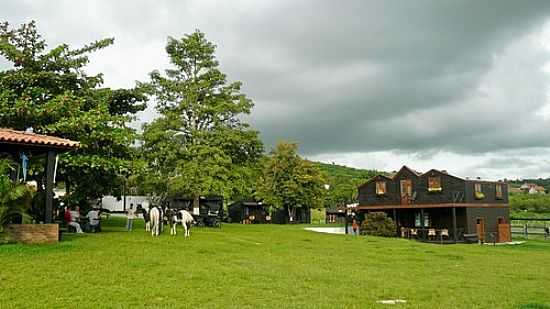 HARAS VALE DAS ACCIAS-FOTO:MACGALLINDO - GRAVAT - PE