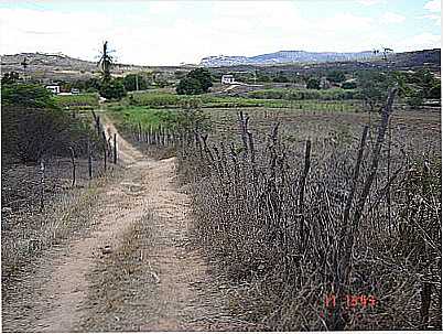 RIACHO DA COLONIA OR VALDENILON - IBITIRANGA - PE