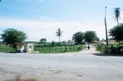 ZONA RURAL DE IGURACY, POR VOZ DOS MUNICPIOS - IGUARACI - PE